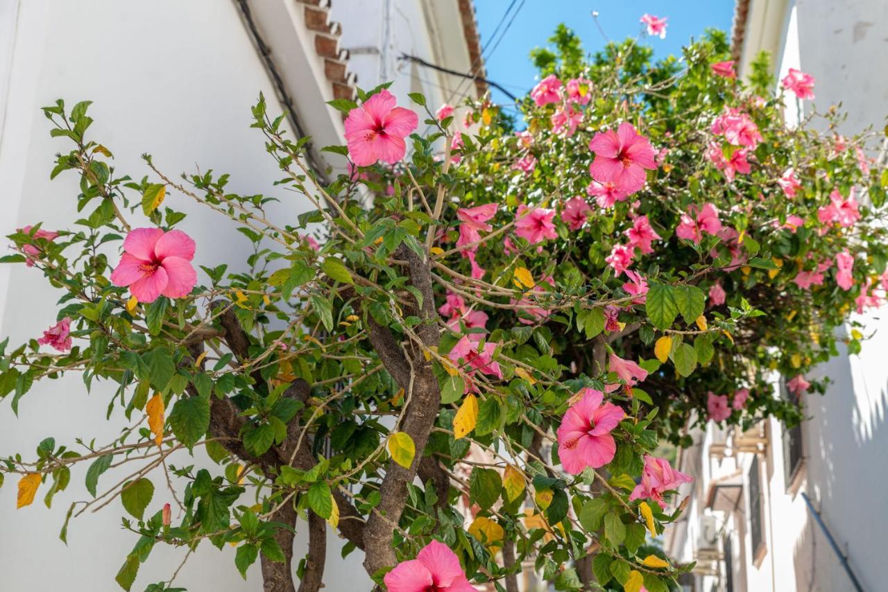 Lovely Cozy 2-Bedroom Residential Home With Patio Benalmadena Exterior photo